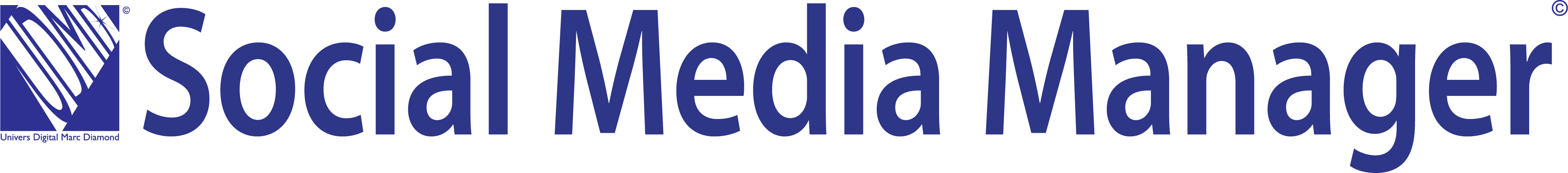 Social Média Manager
